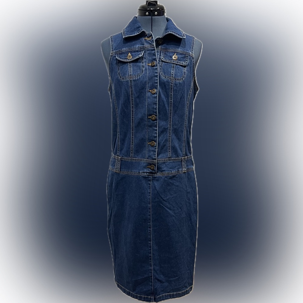 Monroe & Main sleeveless stretch denim dress